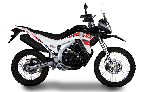 DELTA DS2 250 cc 1404